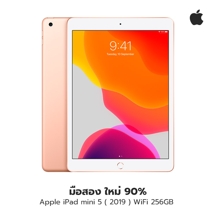 Apple iPad mini 5（2019）WiFi 64GB Space gray |thisshop