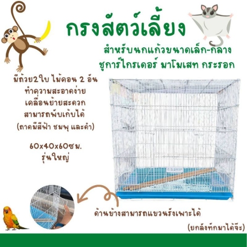 My Image 26