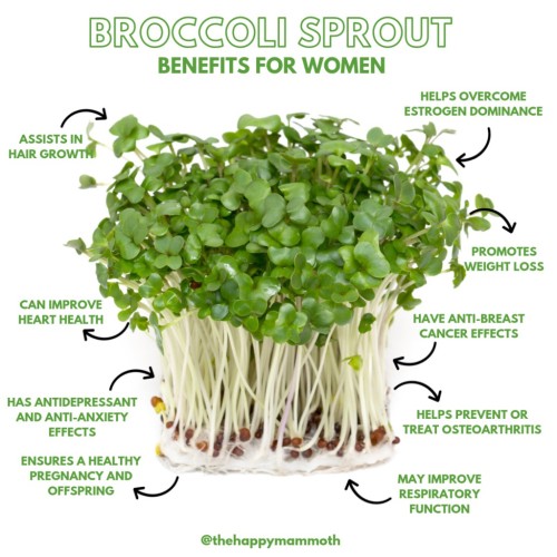 Broccoli Sprout Powder ผงต้นอ่อนบร็อคโคลี่ ผงบล็อคโคลี่ 100 ขนาด 250