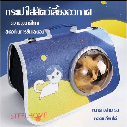 My Image 41